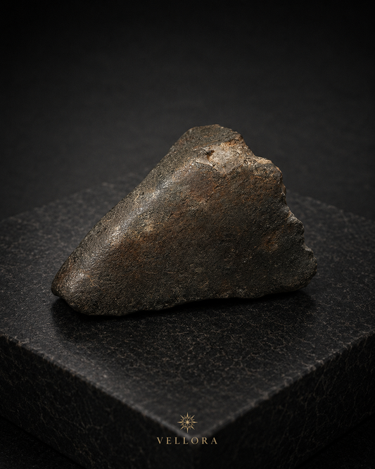 CHONDRITE｜モロッコ産コンドライト原石